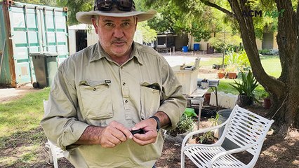 A cut above the rest: The Surat invention improving safety in the cattle yards.