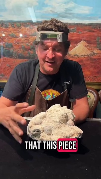Opal Dinosaurs  My favourite topic! #fossil #fossils #australia #opal #gems
