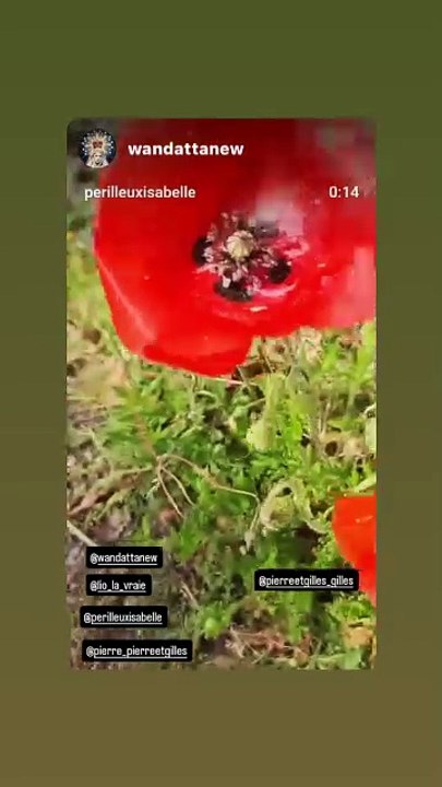 Story de Lio partagée sur son compte Instagram vendredi 7 mars.COADIC GUIREC / BESTIMAGE