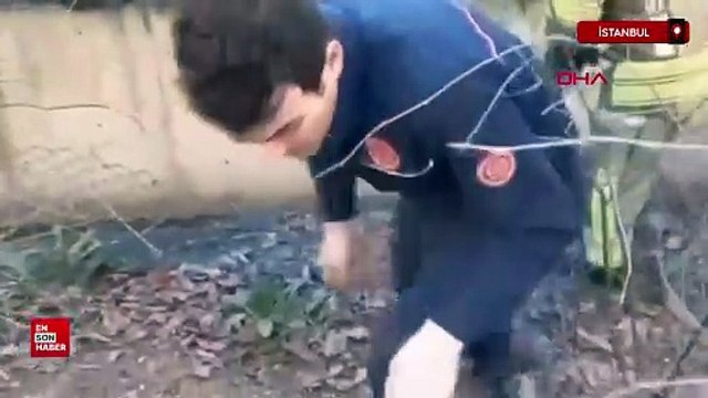 Ataşehir’de köpeğini kurtarmak isterken derede mahsur kaldı