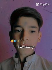 Article writng.Ad posting