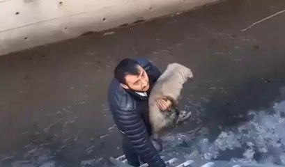 Köpeği Corsi'yi kurtarmak isterken derede mahsur kaldı! İtfaiye ekipleri kurtardı