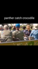 Article writng.Ad posting