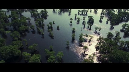 Colmillos del Bayou - Tráiler español