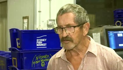 System causing significant coastal erosion on northern NSW coast