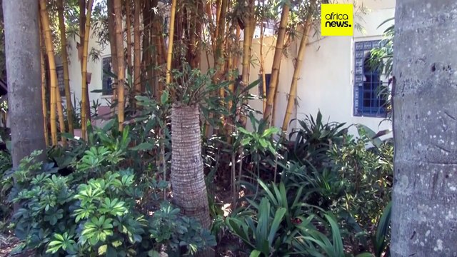 Maroc : les Jardins Exotiques de Bouknadel face au défi de la sécheresse