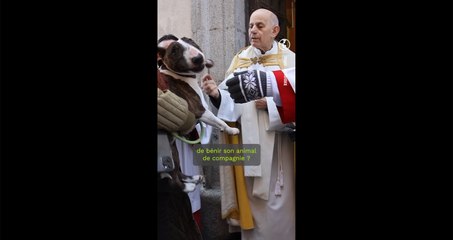 Bénédiction animale : la tradition insolite de la Saint-Antoine à Madrid