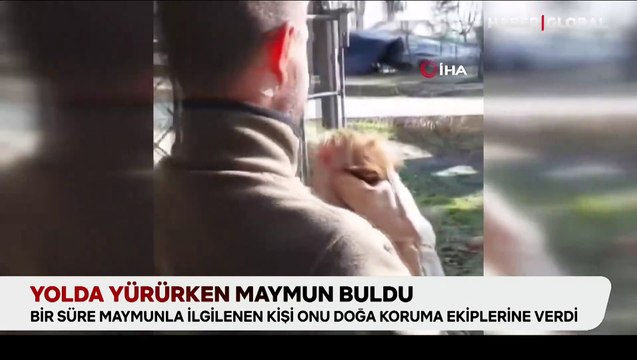 Elazığ'da yolda yürürken maymun bulan adam