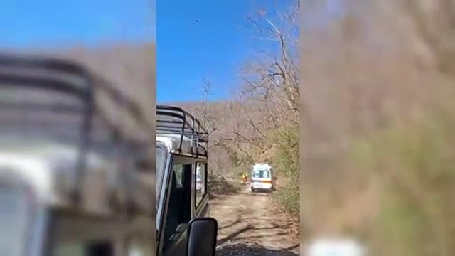 Pontremoli, schiacciato sotto l'albero: i soccorsi