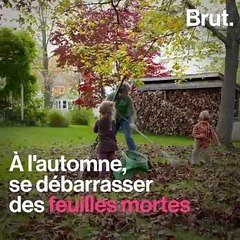 Faut-il ramasser les feuilles mortes ?