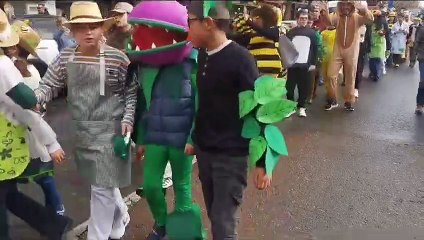 II Desfile Escolar de Disfraces