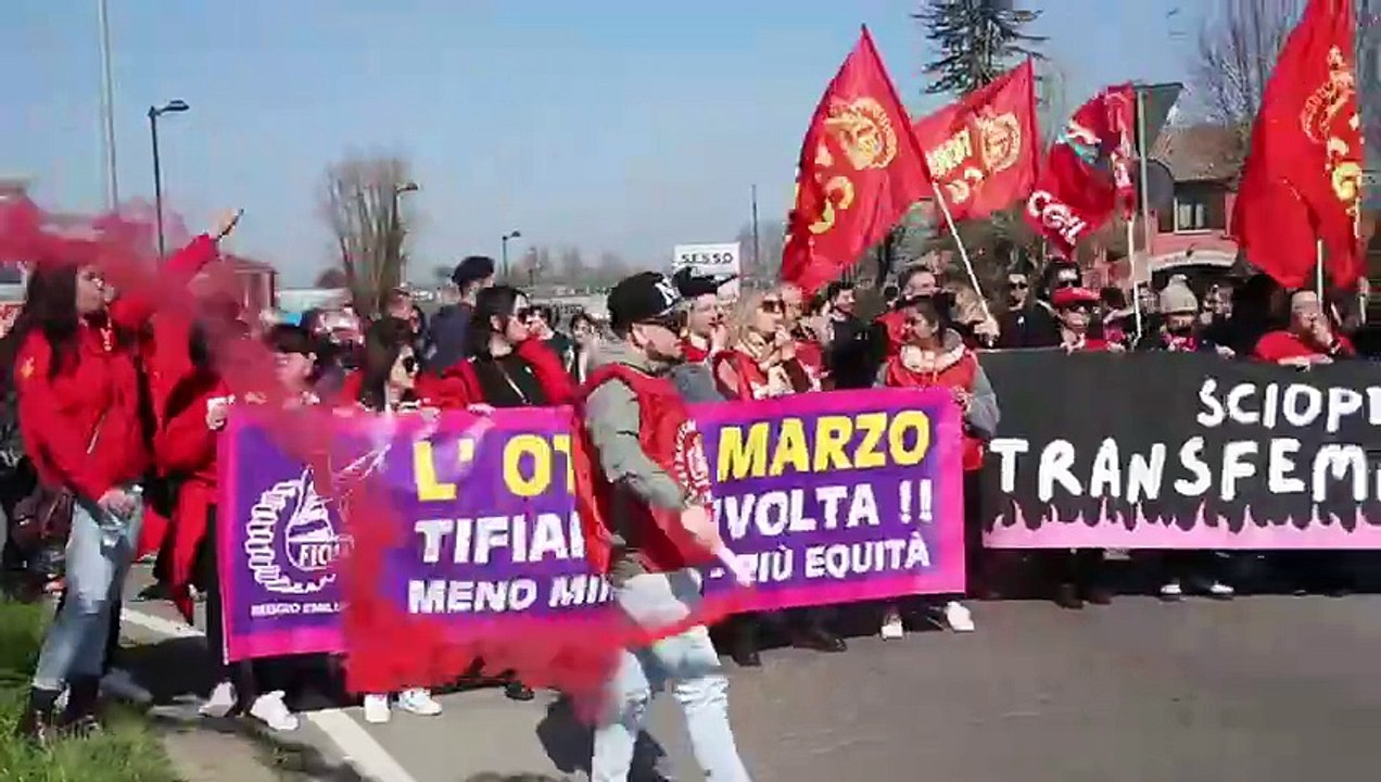Lo sciopero organizzato da Fiom Cgil davanti alla sede di Dana, a Reggio Emilia