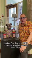 Hacker T Dog at the Museum of Wigan Life