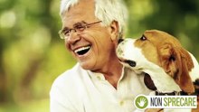 Benefici per la salute degli animali domestici