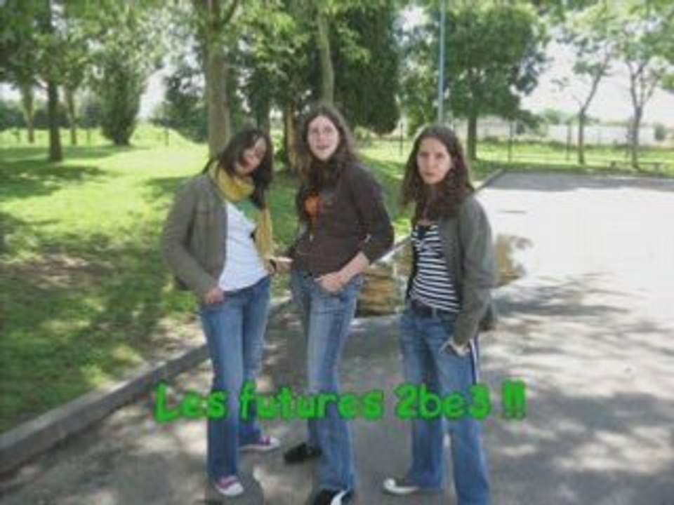 Mes quiches et les blaireaux !!