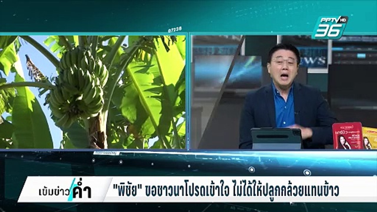 "พิชัย" ขอชาวนาโปรดเข้าใจ ไม่ได้ให้ปลูกกล้วยแทน...