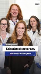 Scientists discover new immune system part