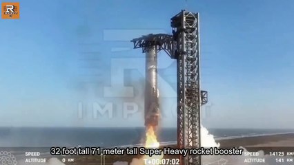 I Witnessed The SpaceX Starship Disaster And Here's What Happened