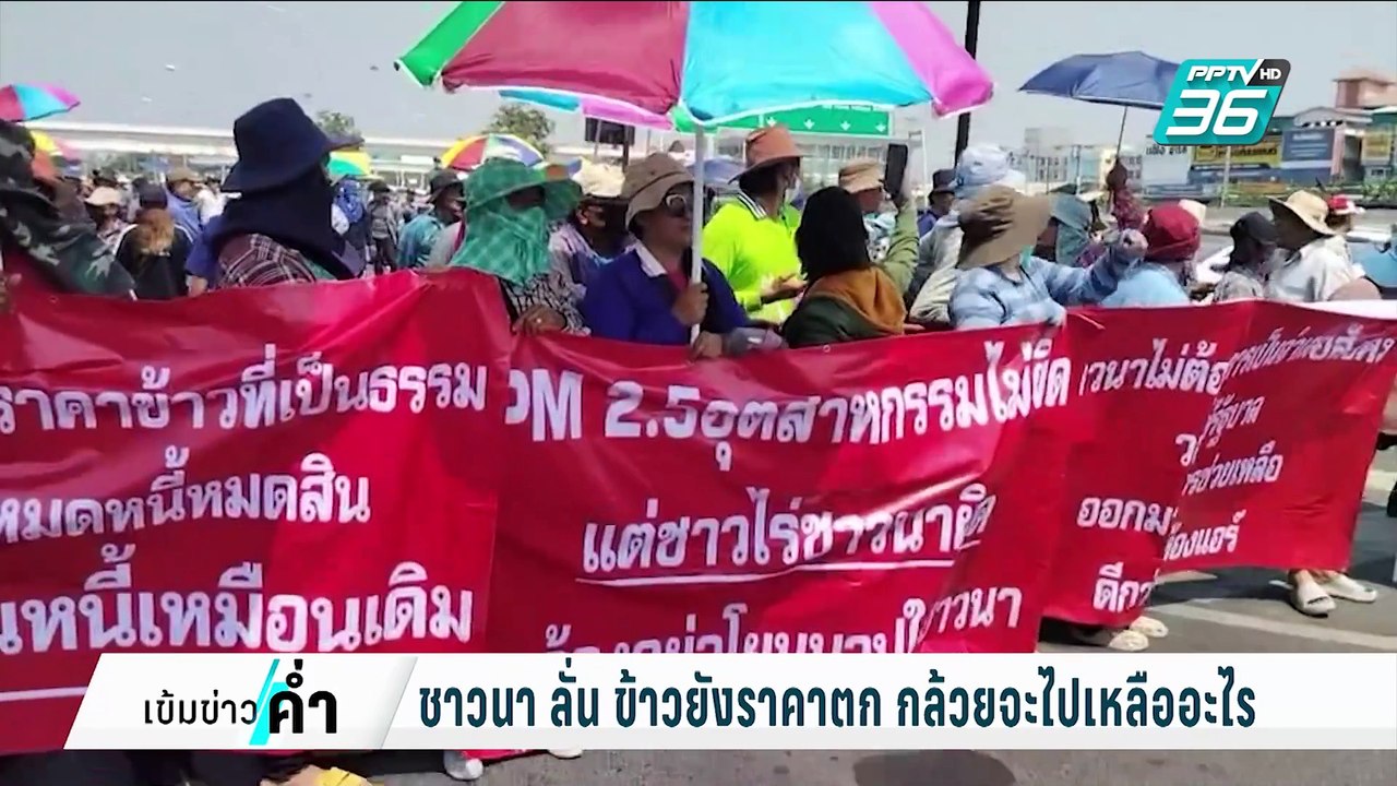ชาวนา ซัด พิชัย มีสมองแค่นี้?ถึงแนะปลูกกล้วย |...