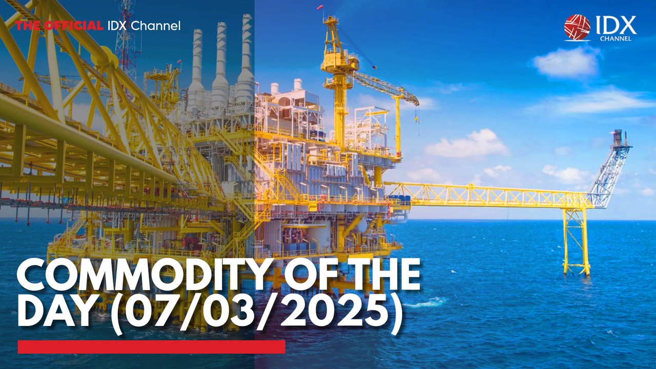 Commodity of the Day (07/03/2025) - video Dailymotion
