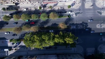 145. CACAO Serie Portuguesa ❤️ Cap 145 en Español HD. Con José Condesa. Matilde Reymão. Cacau