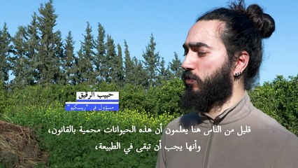 العقاب الذهبي يفرد جناحيه مجددا بعد رحلة علاج في تونس