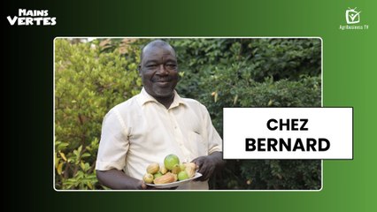 Mains Vertes : Chez Bernard