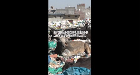 Inde : vers la fin de la montagne d'ordures fumantes de Bhalswa ?