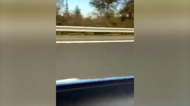Merkez Parti Genel Başkanı Pelin Gündeş Bakır'a trafikte saldırı