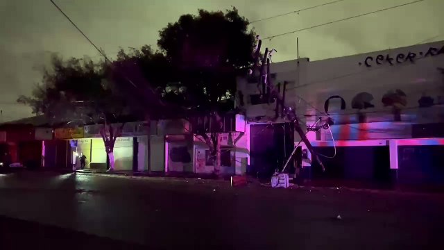 Árboles y postes caídos por fuertes vientos en Tijuana