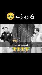 6 rozay nang gy ty......