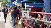 Autorizan venta y consumo de cerveza en el recorrido del Corso de Corsos