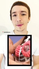 La lactation : Guide essentiel 👶