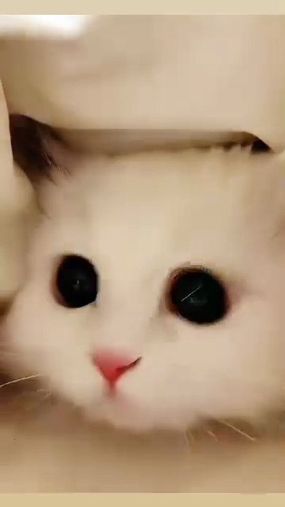 🥲