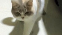 You can't see me!