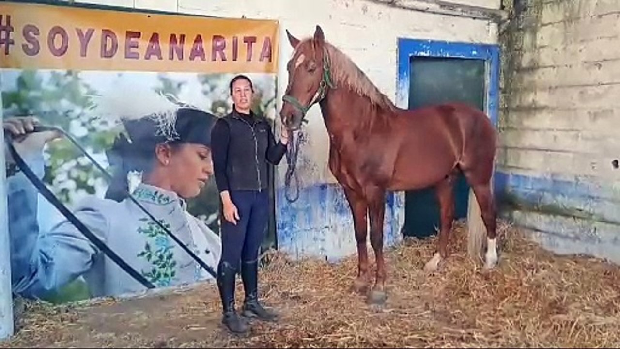 Ana Rita