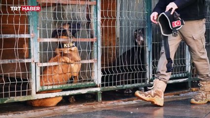 Narkotiğin hassas burnu "Toma" emekli oldu