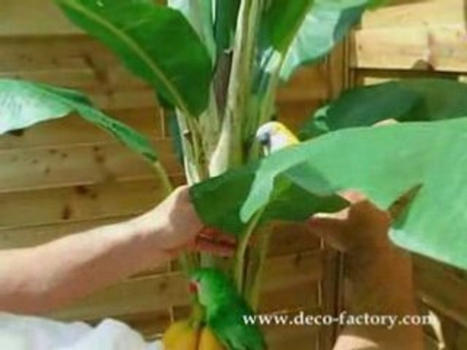 Bananier artificiel banane artificielle et compagnie