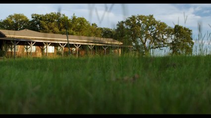 Alien AI Discovered Movie