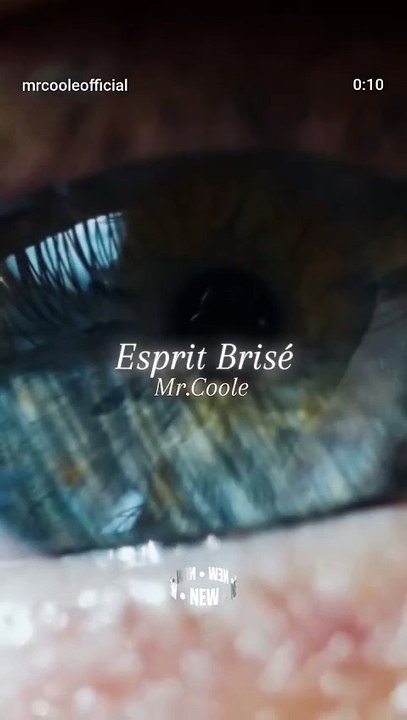 Esprit Brisé