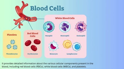 What are Haematology Analyser?