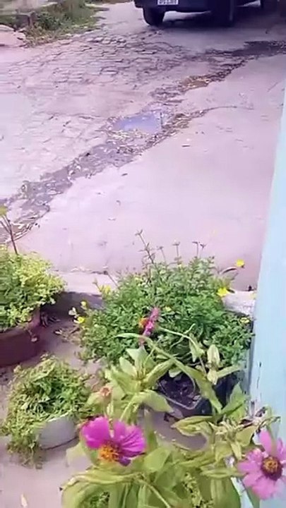 Moradora cobra conserto de galeria que está dando retorno para sua residência, no bairro Dona Milindra, em Patos