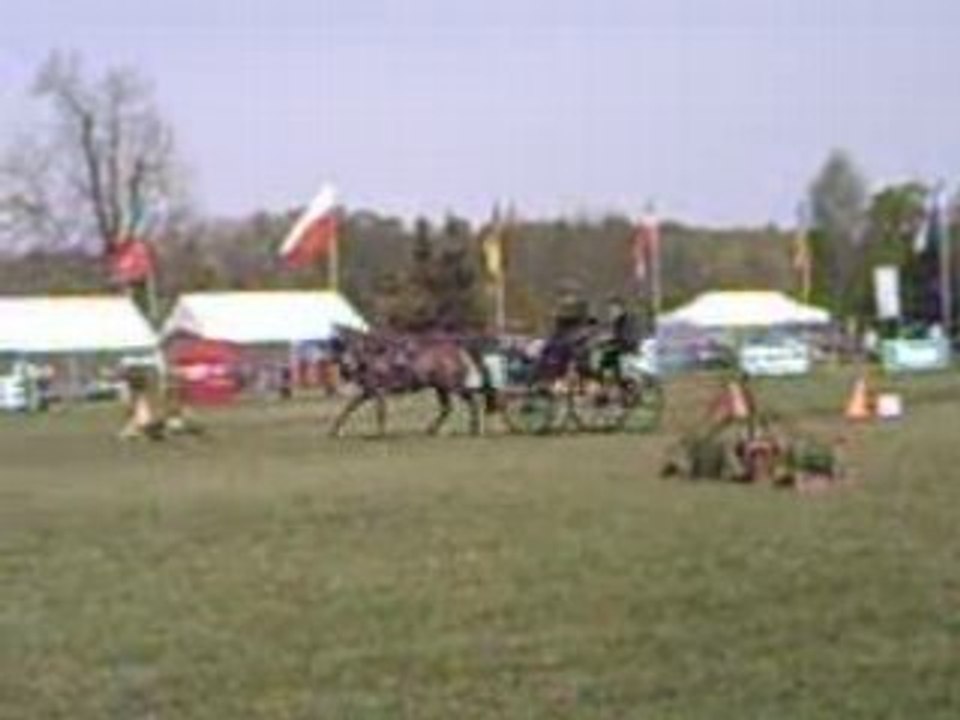 PICT0004