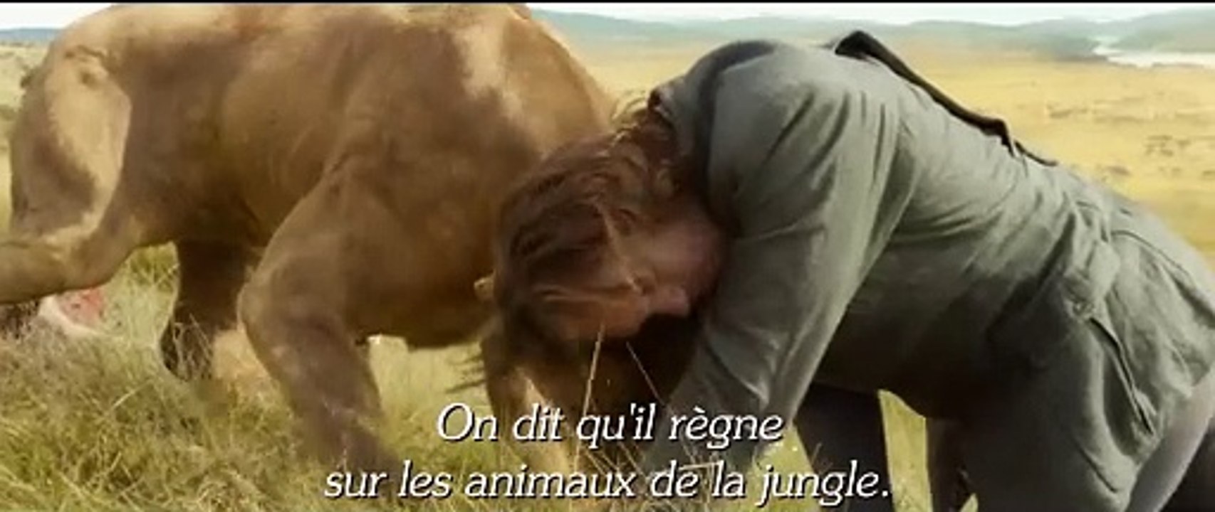 Tarzan