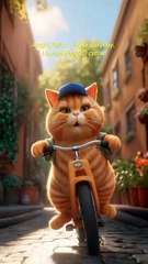 Chubby Cat’s First Bike Ride! #CatLovers #shorts