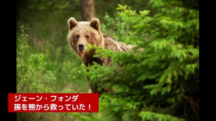 ジェーン・フォンダ、孫を熊から救った経験を語る