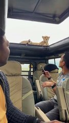 Amazing African wildlife #animallife #travel