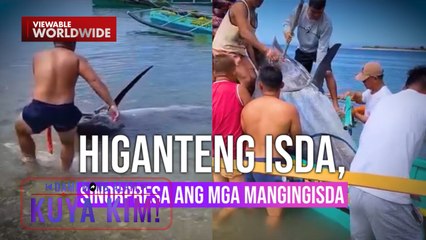Mga mangingisda, nakabingwit ng isang dambuhalang isda?! | Dami Mong Alam, Kuya Kim!