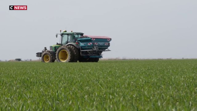 Vers une augmentation du prix de l'engrais importé de Russie ?