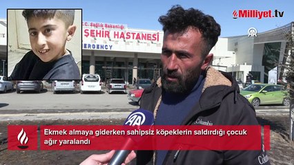 Bakkala giden çocuk dehşeti yaşadı! 'Boğazında diş izleri vardı, kulak memesi ise yoktu'